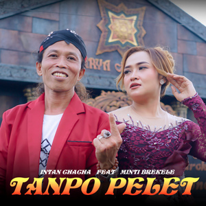 TANPO PELET