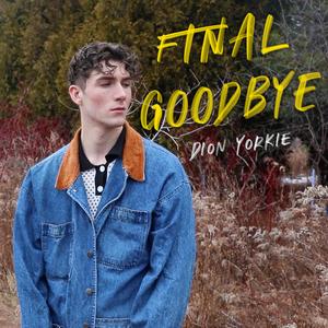 Final Goodbye