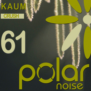 Crush (Original Mix)