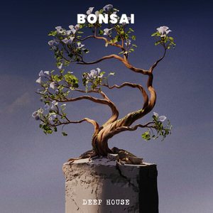 Bonsai