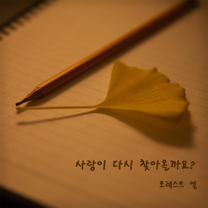 사랑이 다시 찾아올까요?