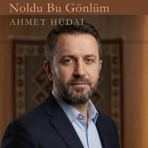 Noldu Bu Gönlüm