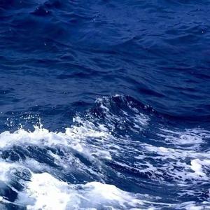 流离（翻自 周星星）