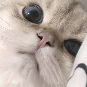 《温暖怀抱里的心灵归处》