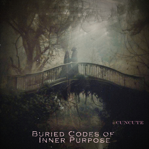 Buried Codes of Inner Purpose