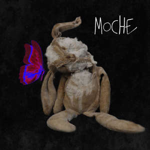 Moche