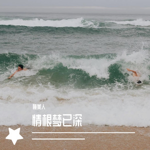 情根梦已深
