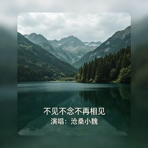 不见不念不再相见