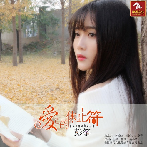 爱的休止符封面