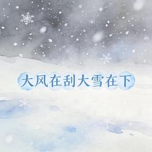 大风在刮大雪在下（漫天纷飞的沙）