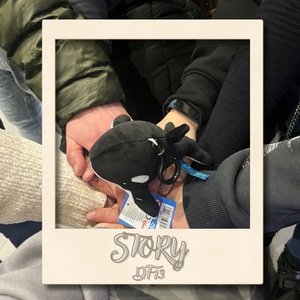 Story