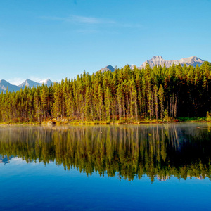 Soporific Sleepscape