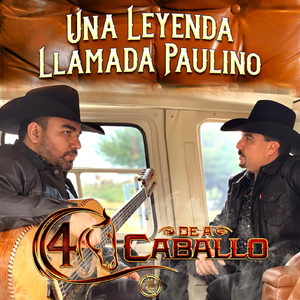 Carga Ladeada