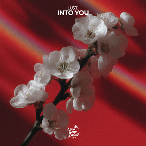 Into You