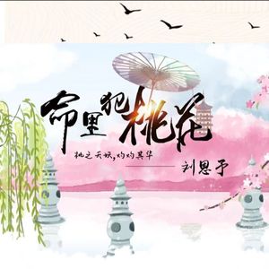 命里犯桃花（DJheap九天版）