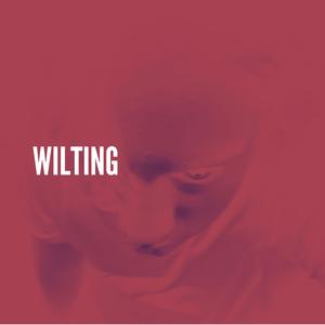 Wilting
