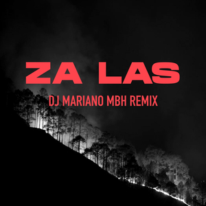 Za las (REMIX)