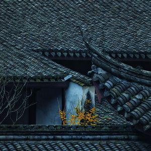 镜中人