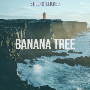 Banana tree
