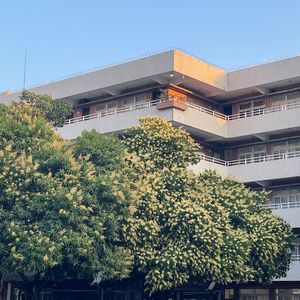 寻光小路【HB to 黎羽】