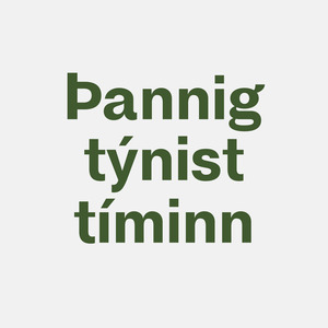 Þannig Týnist Tíminn