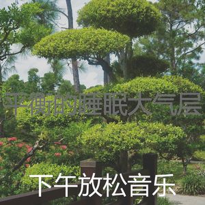 精致的假期环境