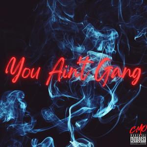 You Ain't Gang (feat. CMO Took, Eastside Lulu, Rocketboy Nift, Realio Presents, Zoski & Milo Akoo)