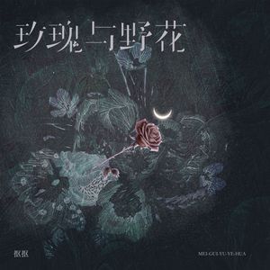 玫瑰与野花（弹唱版）