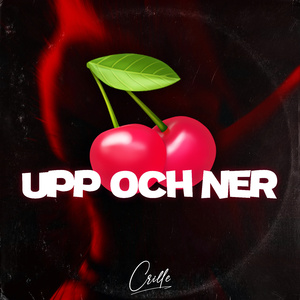 UPP OCH NER