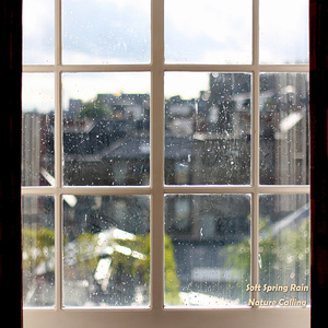 잔잔하게 내리는 봄비