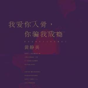 我爱你入骨，你骗我成瘾 (DJheap九天版)