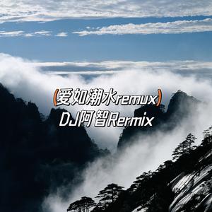 爱如潮水remix（DJ阿智 remix）