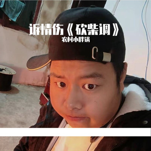 诉情伤《砍柴调》