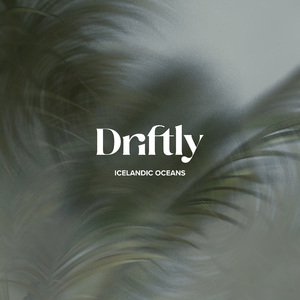 Under The Sea (Ocean)