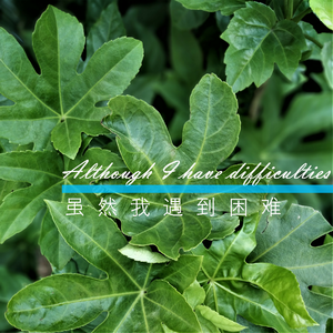 Although I have difficulties(Instrumental)