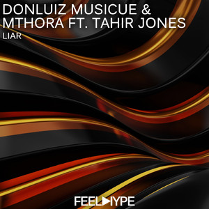 Liar (feat. Tahir Jones) (Donluiz Musicue Remix)