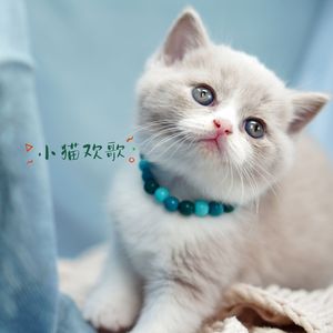童话音乐 (吉他)