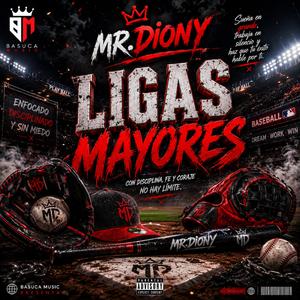 Ligas Mayores