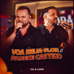Voa Beija-Flor - Parece Castigo (Ao vivo)