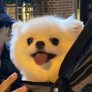 拍我丑照不美颜