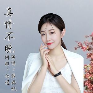 真情不晚(戴淼秋) 伴奏版
