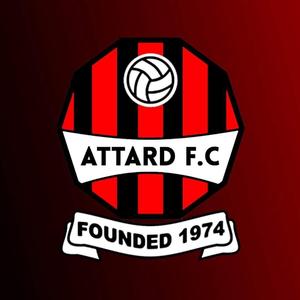 Supporters Saraċini