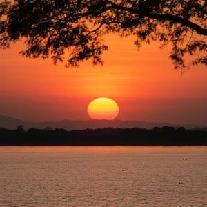 温柔的慈悲 (Cover 阿桑)