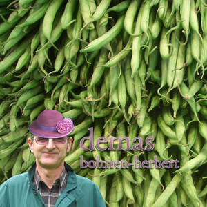 Bohnenherbert (Tbbros Dubby Remix)