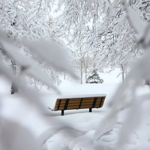 雪中华尔兹