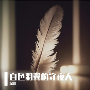 白色羽翼的守夜人