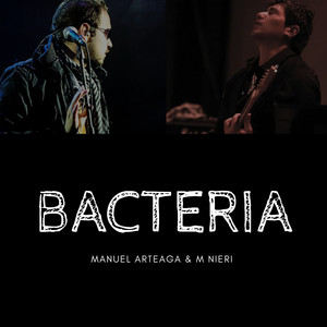 Bacteria