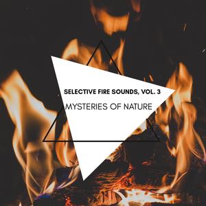 The Mysterious Bridge