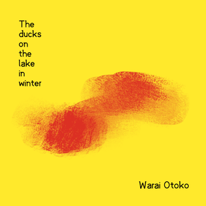 The ducks on the lake in winter.