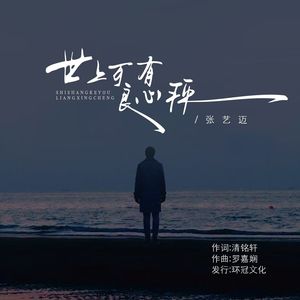 世上可有良心秤